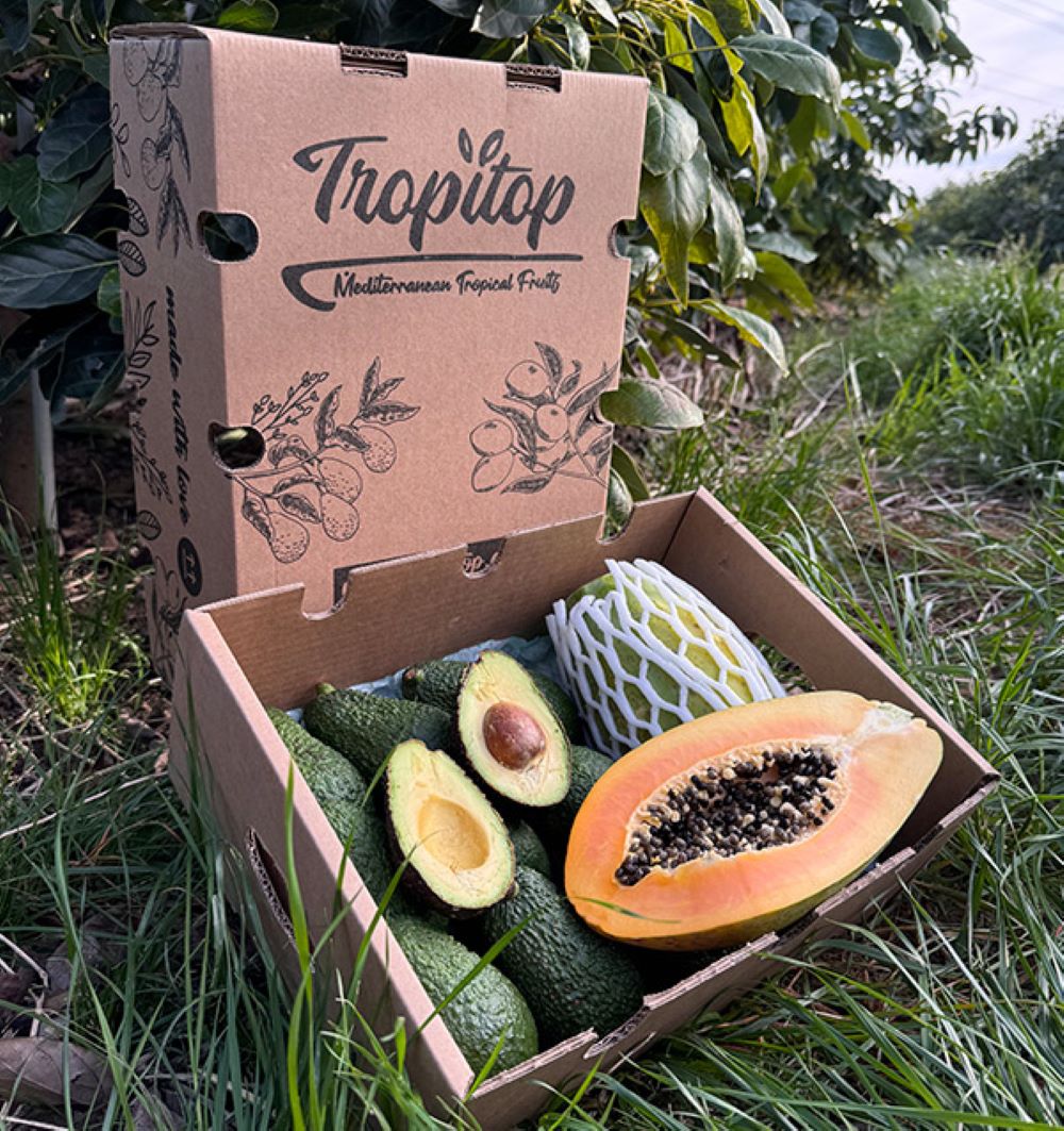 Caja 4kg Mix Aguacate Hass Y Papaya Tropitop_4