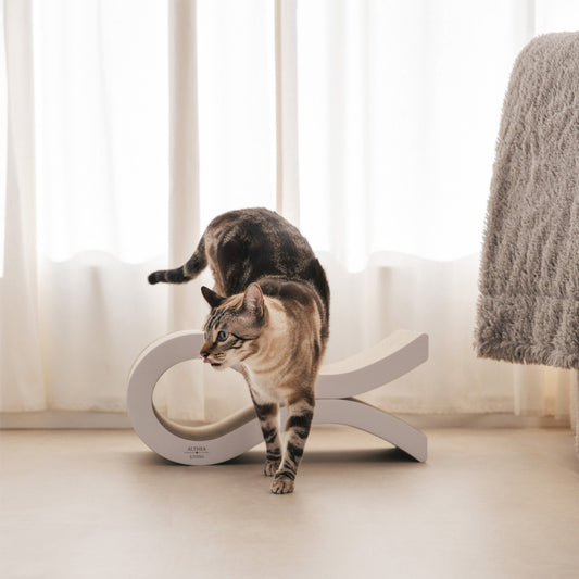 Rascador Para Gatos Ondulado