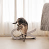 Rascador Para Gatos Ondulado