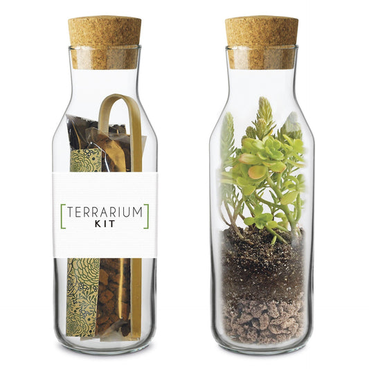 Kit Terrarium Vertical