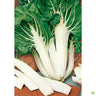 Semillas Acelga Verde Penca Blanca Ancha