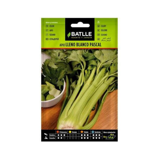 Semillas de Apio lleno Blanco Pascal Batlle