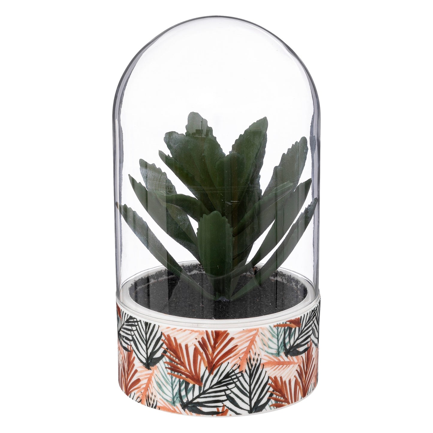 Planta ali Cloche H21cm