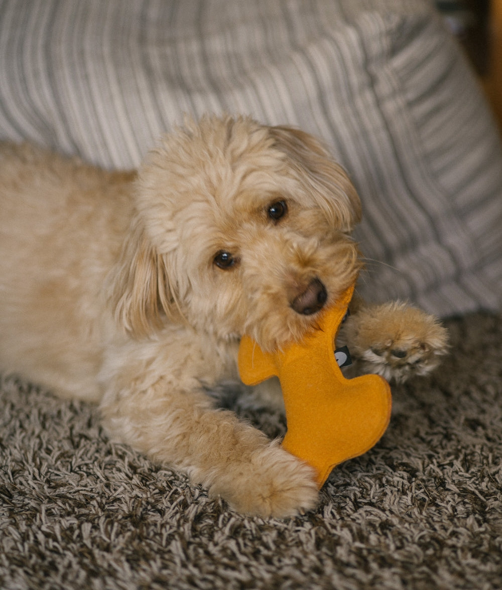 Cafide Juguete De Material Reciclado Para Perro Naranja. Modelo Play.