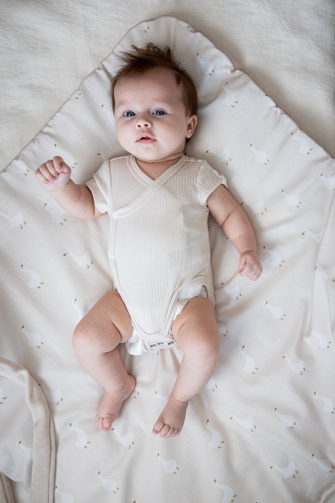 Saco Capazo Bebé Velour Goose