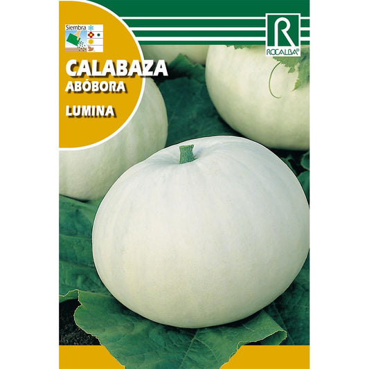 Semillas de Calabaza lumina
