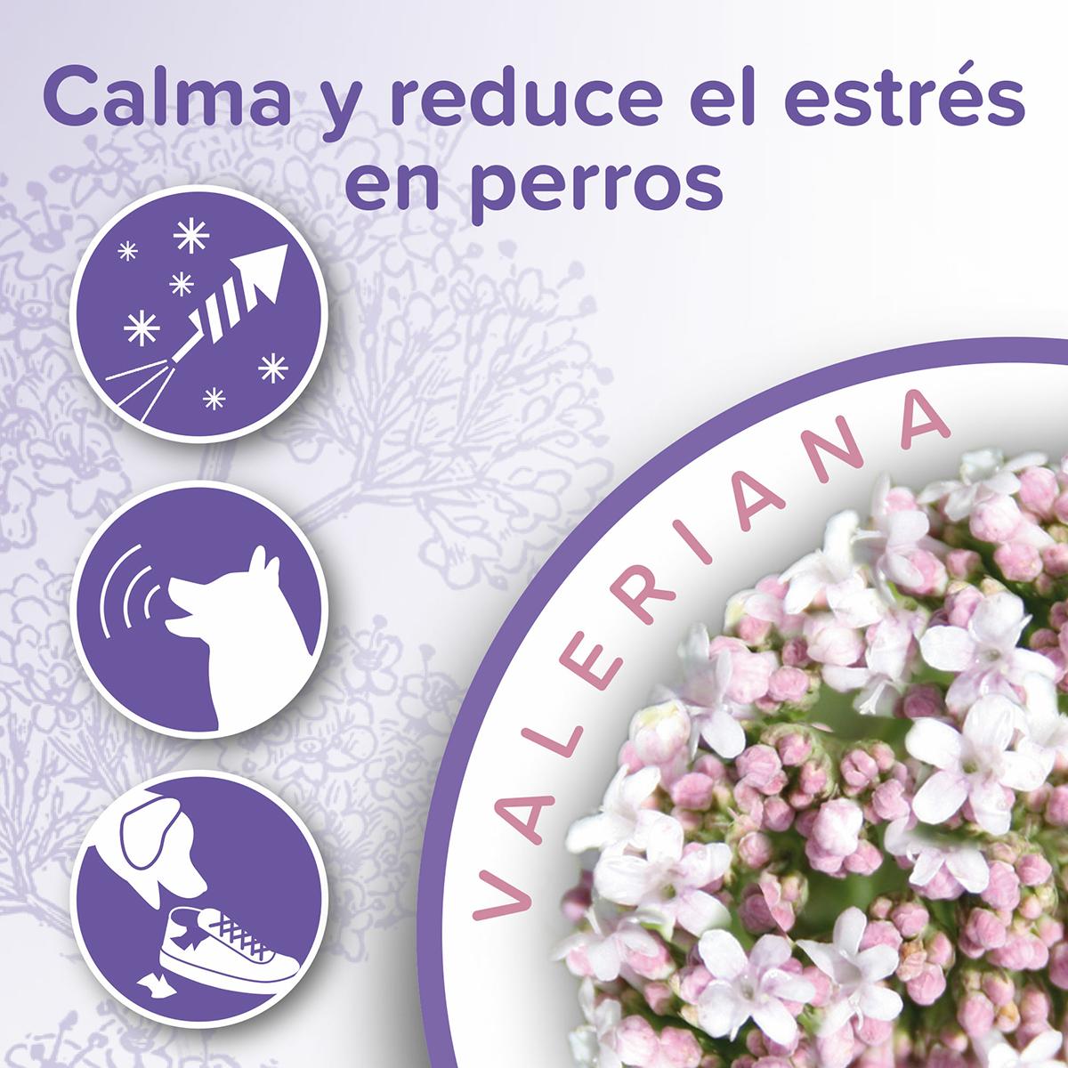 Calming Collar Perro calmante natural Beaphar 65 cm