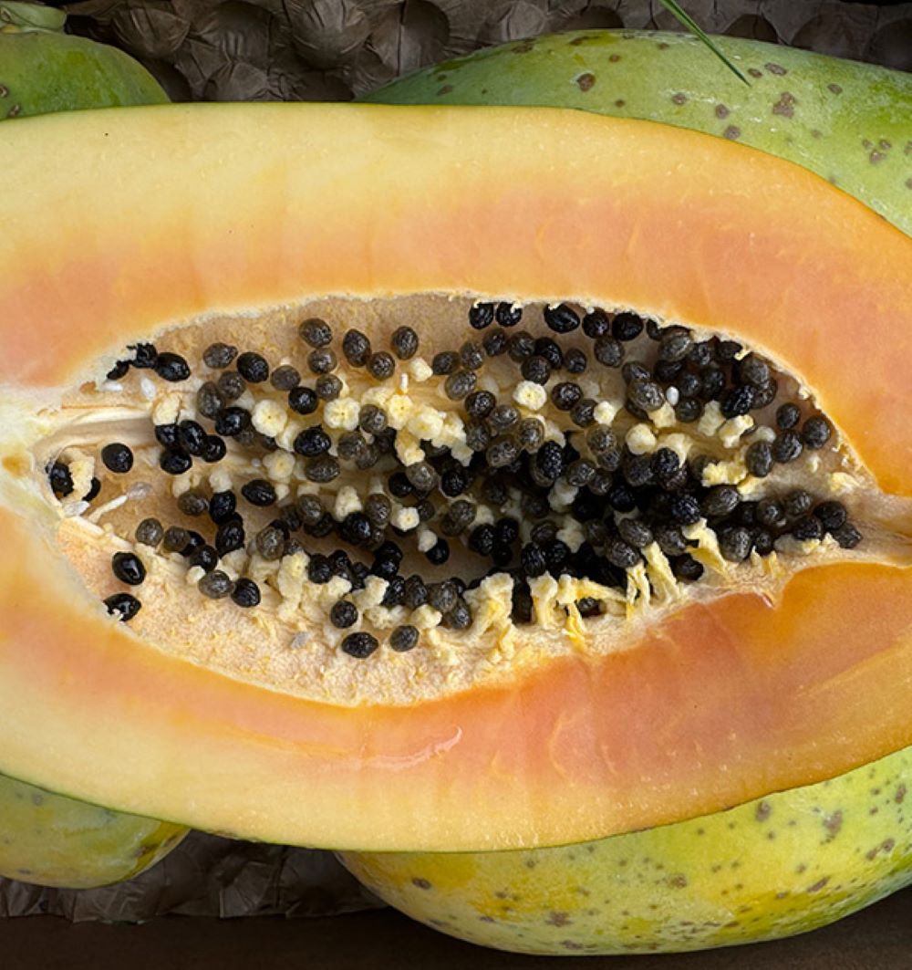 Caja De Papayas De Temporada Tropitop 4kg_4