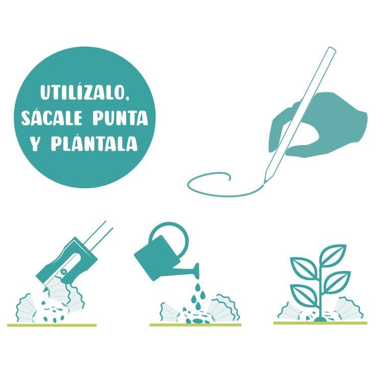 Lápiz con Semillas Plantables Ecológico, Sostenible y Divertido Garden Pocket