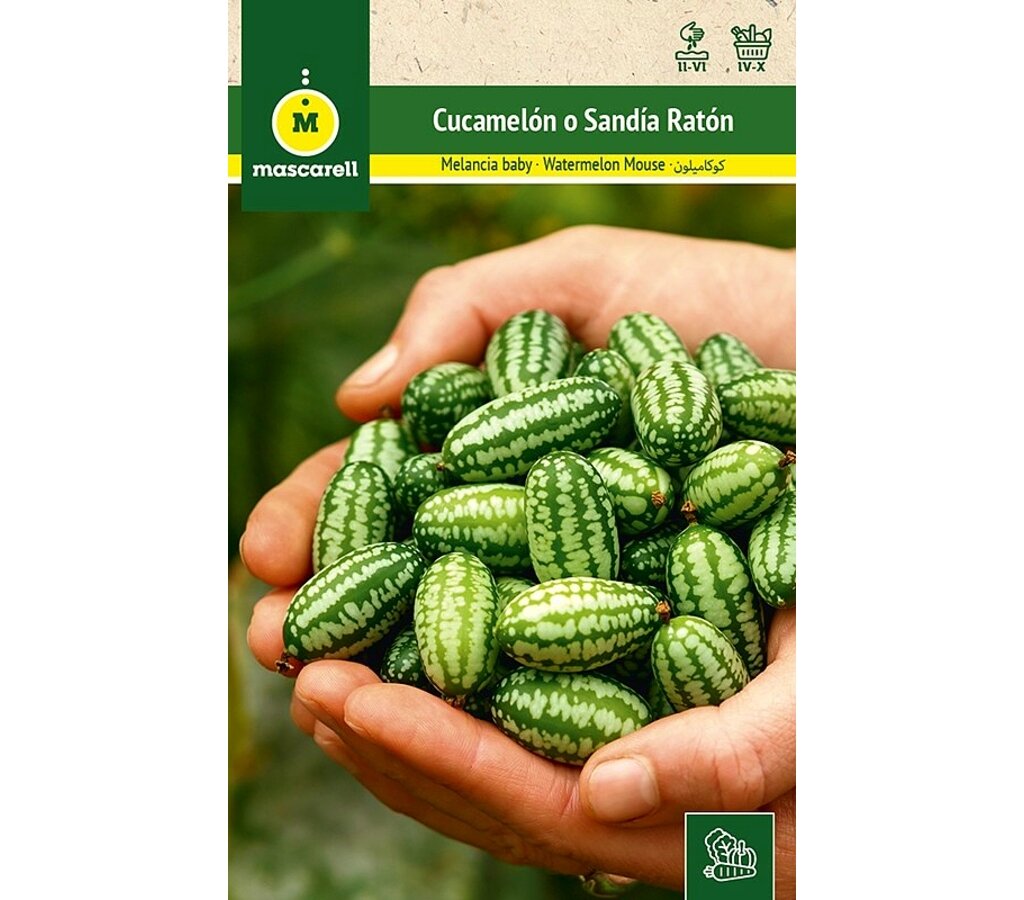 Semillas Cucamelón-sandía Ratón_0