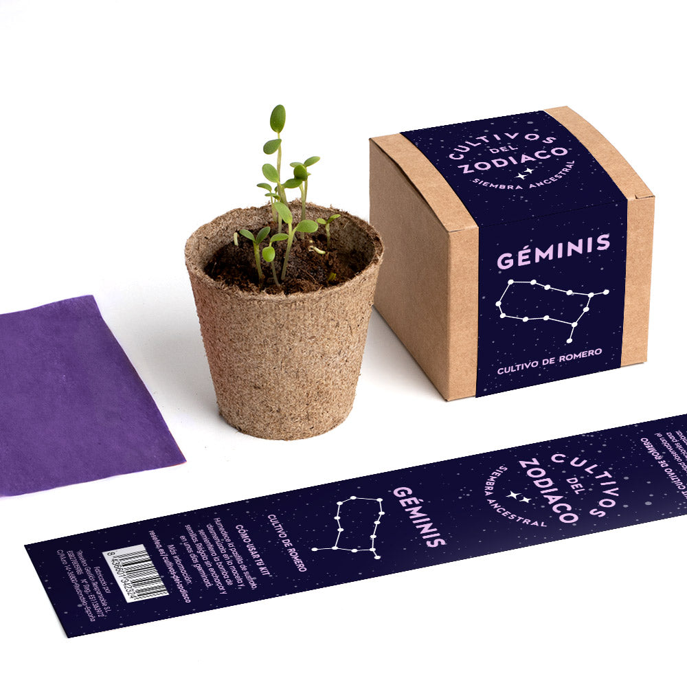 Cultivos Del Zodiaco – Géminis | Kit De Cultivo Con Semillas De Romero_4