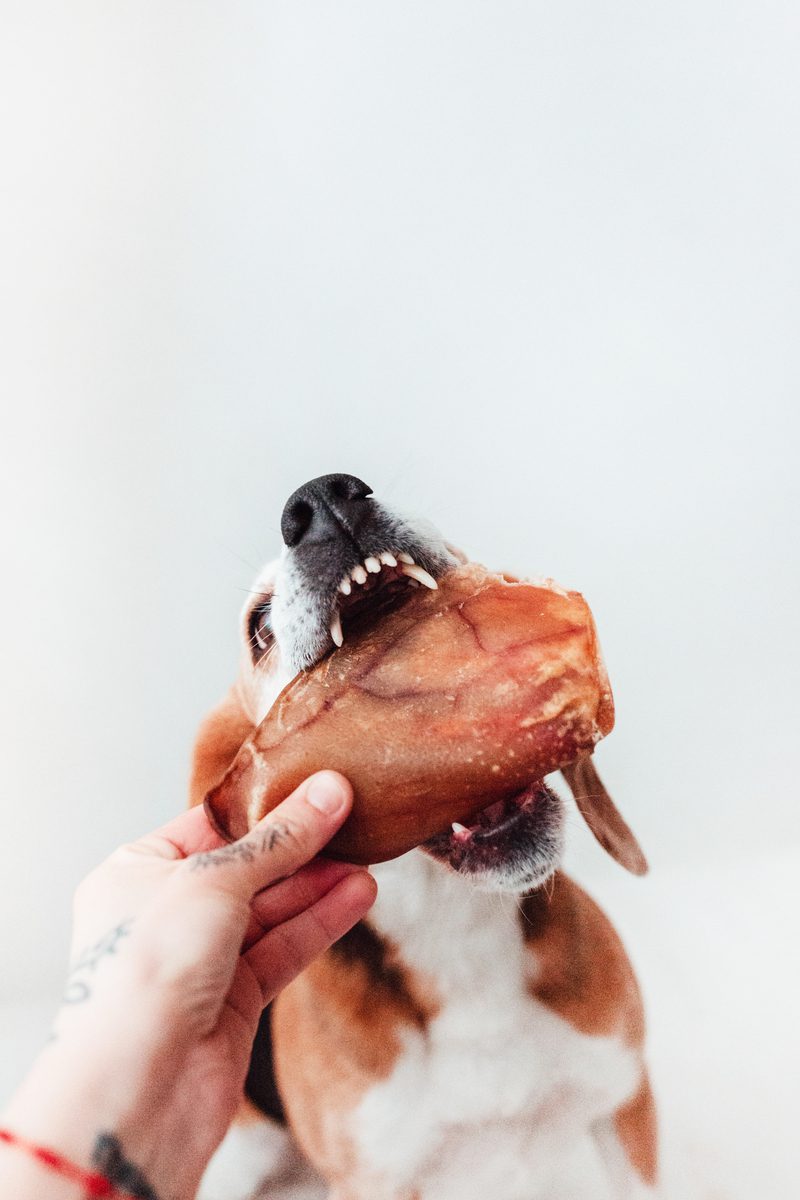 Bimordiscos Orejas De Cerdo Para Perros · 100g_3