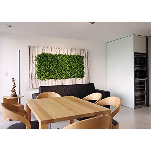 Jardín vertical artificial Tropic Nortene 1x1 m