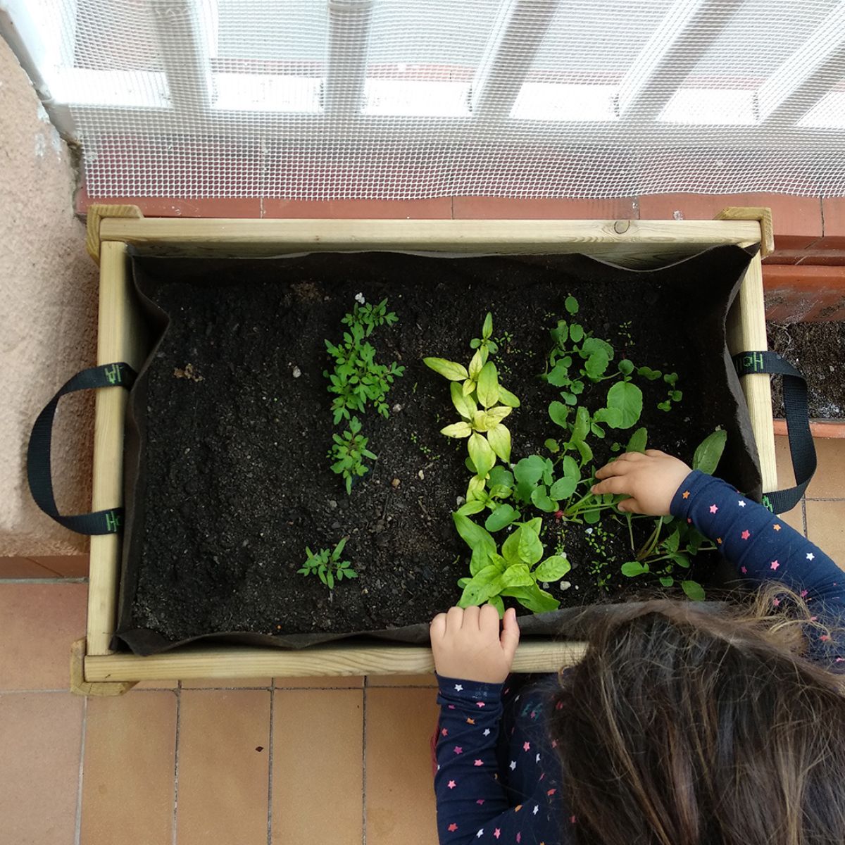Kit de mesa de cultivo infantil Leo Hortalia