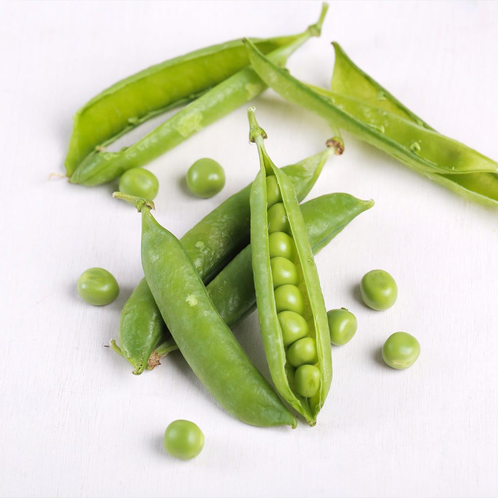 Plantón Guisante Medio Enrame - PlantaBo