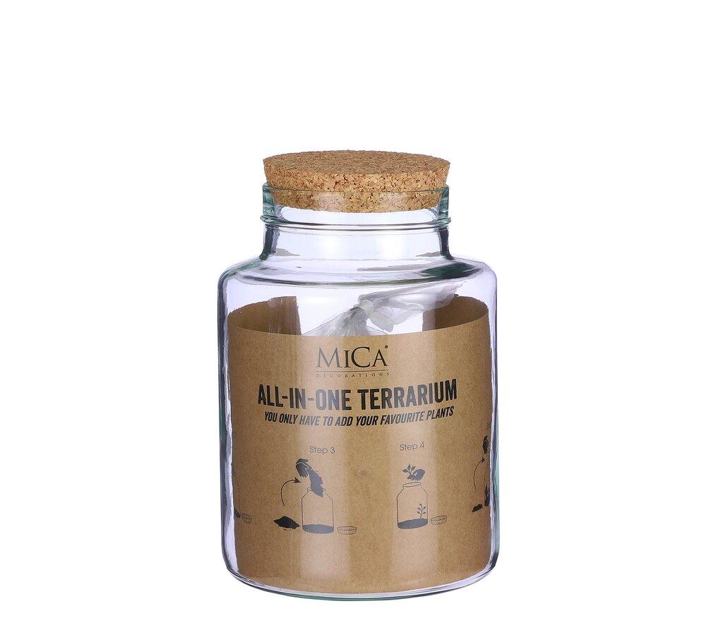 Terrario Todo En Uno 20cm