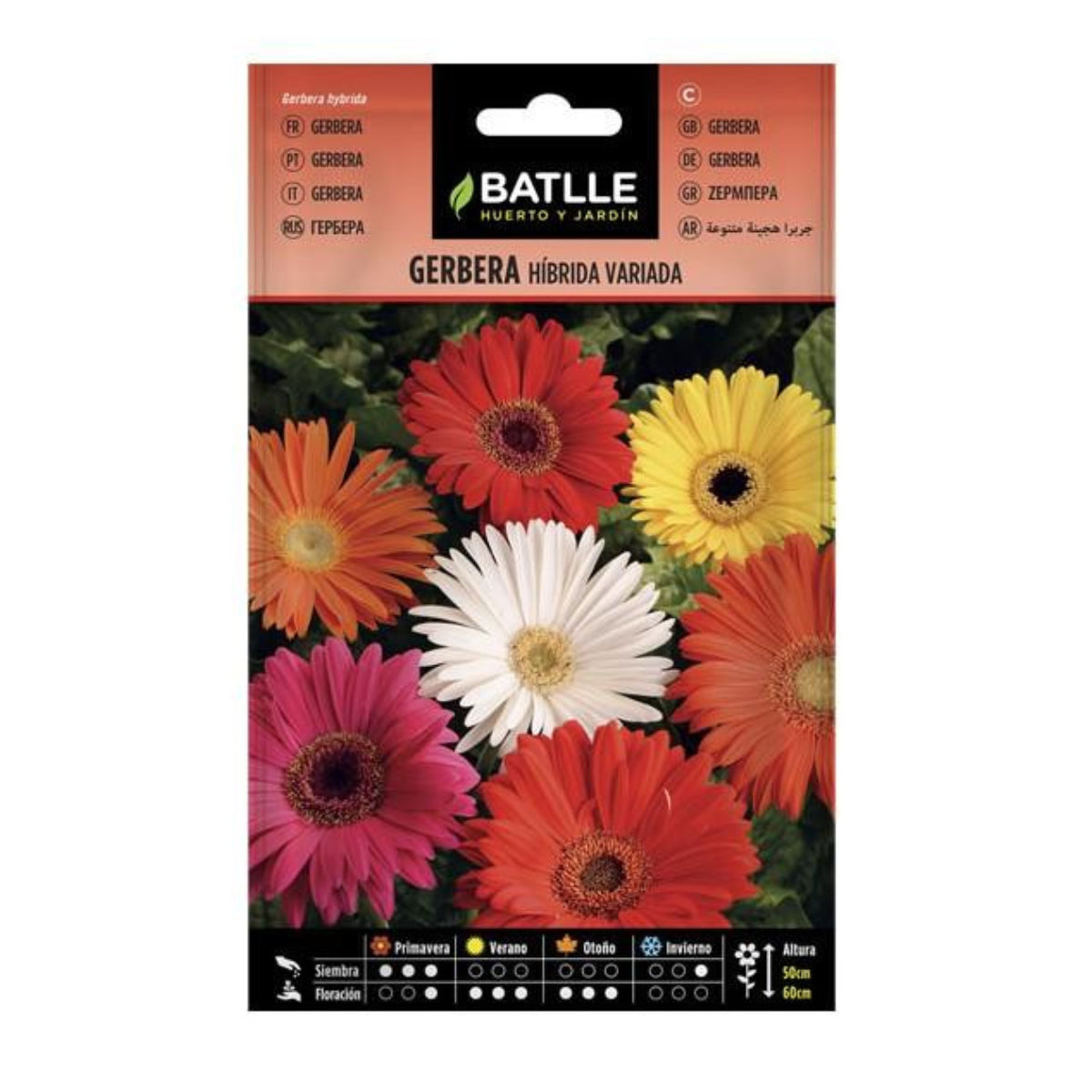 Semillas de Gerbera Batlle