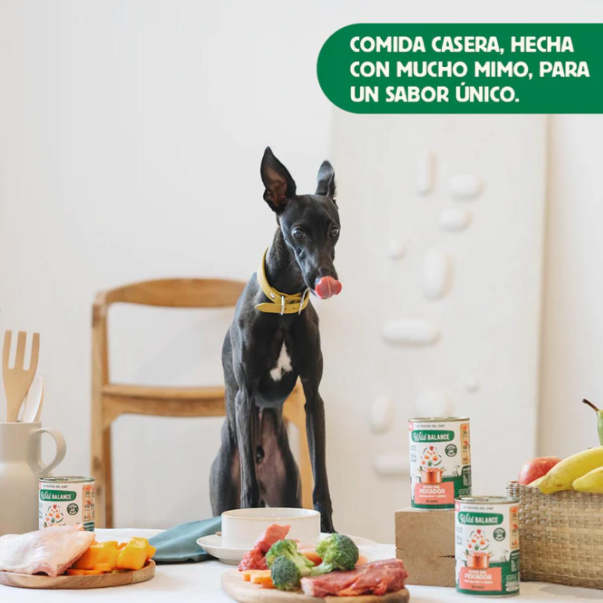 Lata completa Guiso del Pescador con Salmón y Cerdo para Perros Wild Balance 400 g
