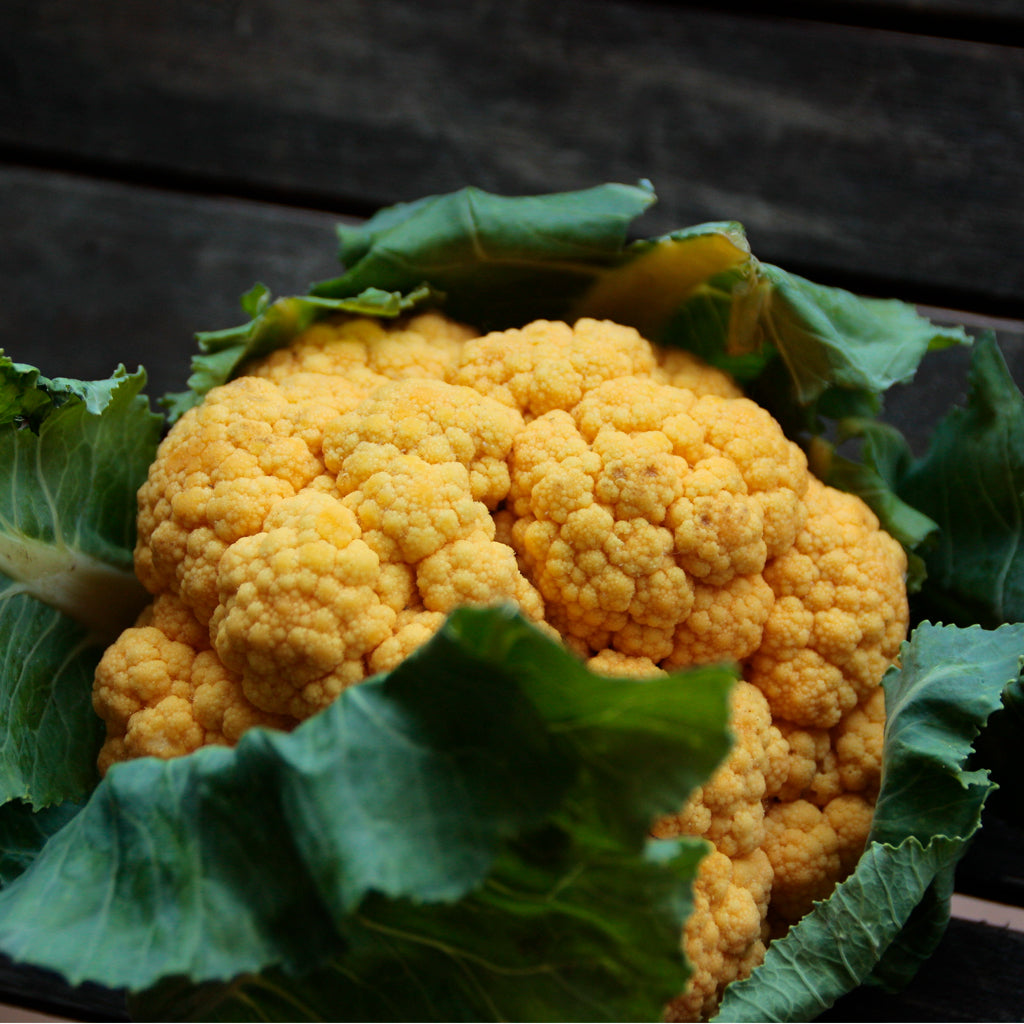 Plantón Coliflor Naranja - Plantabbo 3 Unidades_1