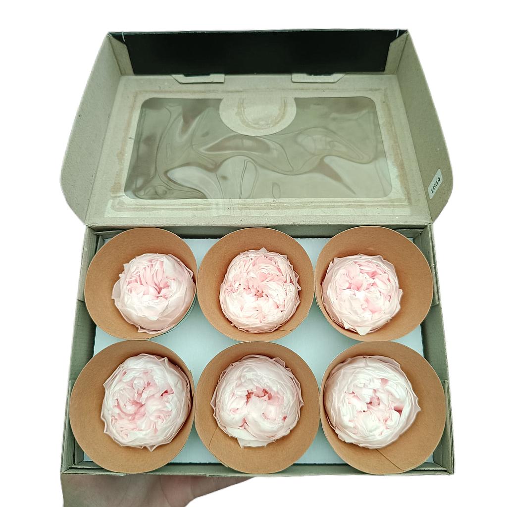 Mundo Eterno Peonias Rosas Preservadas 6 Unidades_0