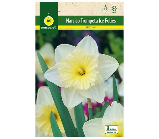 Bulbo Narciso Trompeta Ice Folies