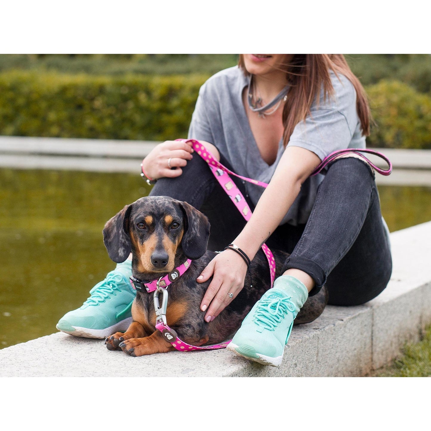 Collar para perro DOGTELLA Dukier M