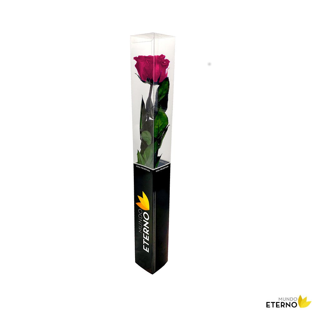 Mundo Eterno Rosa Preservada Fucsia 55cm