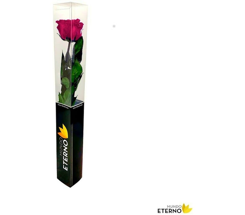 Mundo Eterno Rosa Preservada Fucsia 25cm_1