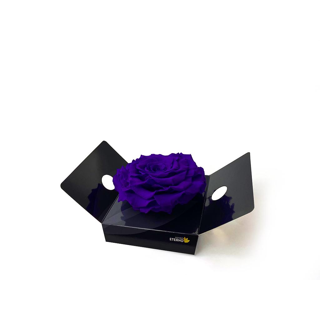 Mundo Eterno Rosmelia Preservada King 15cm Lila Oscuro_0