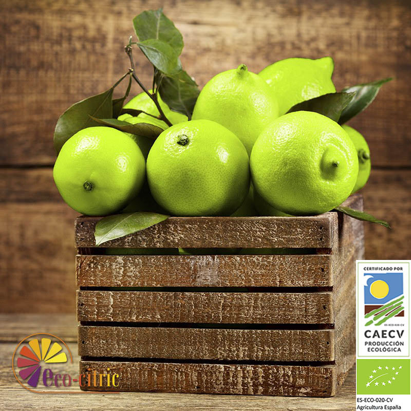 Limón Verde Ecológico 20kg_0