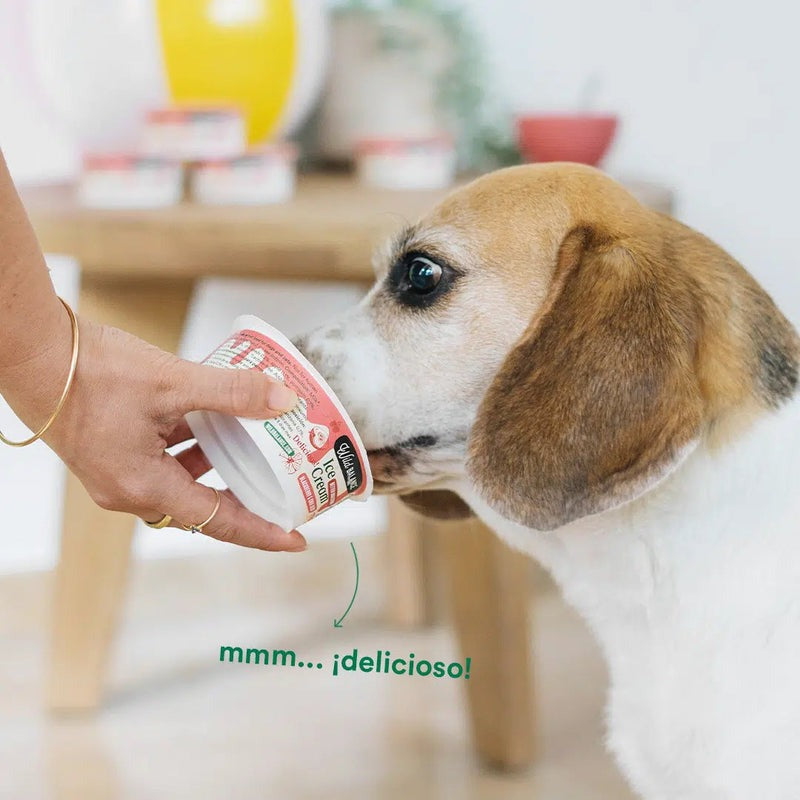 Yogur Helado de Mora con Prebióticos Naturales Wild Balance 110 g