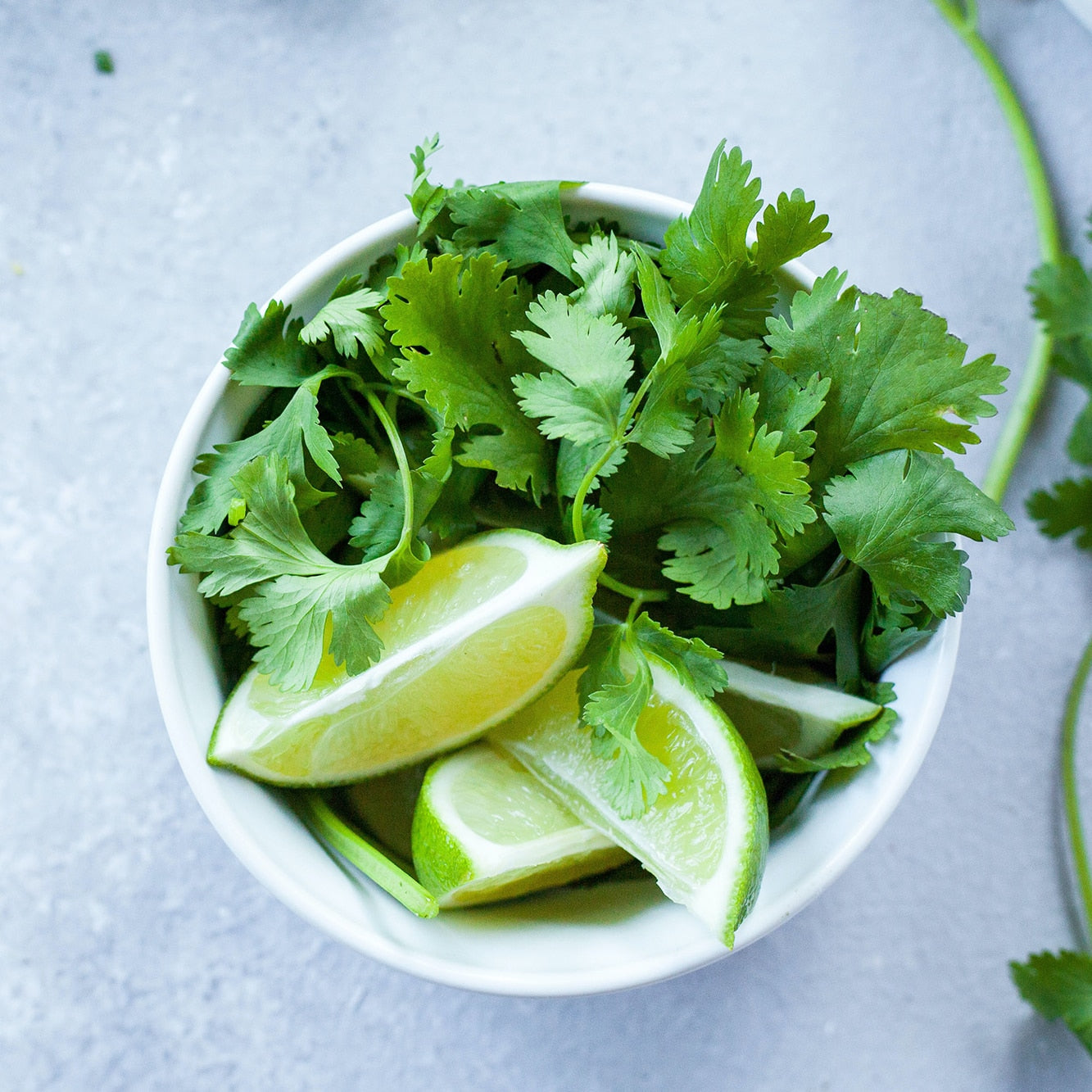 Mini Huerto Hierbas Aromáticas Perejil, Albahaca y Cilantro | Kit Fácil - Resetea_5