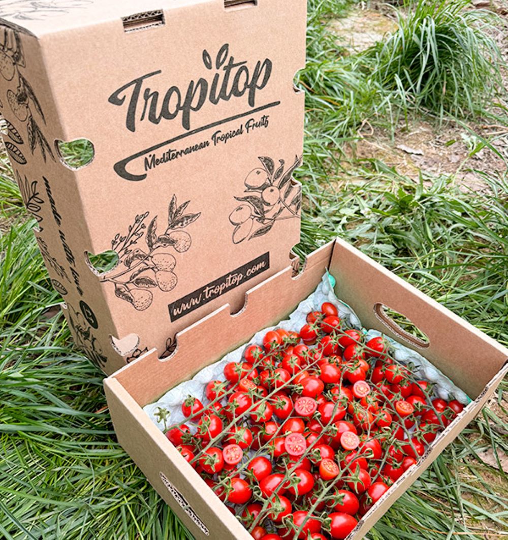Caja De Tomates Cherry En Rama Tropitop