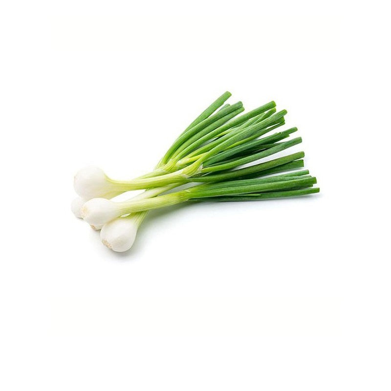 Cebolleta Blanca Fresca De Conil. 1 KG_0
