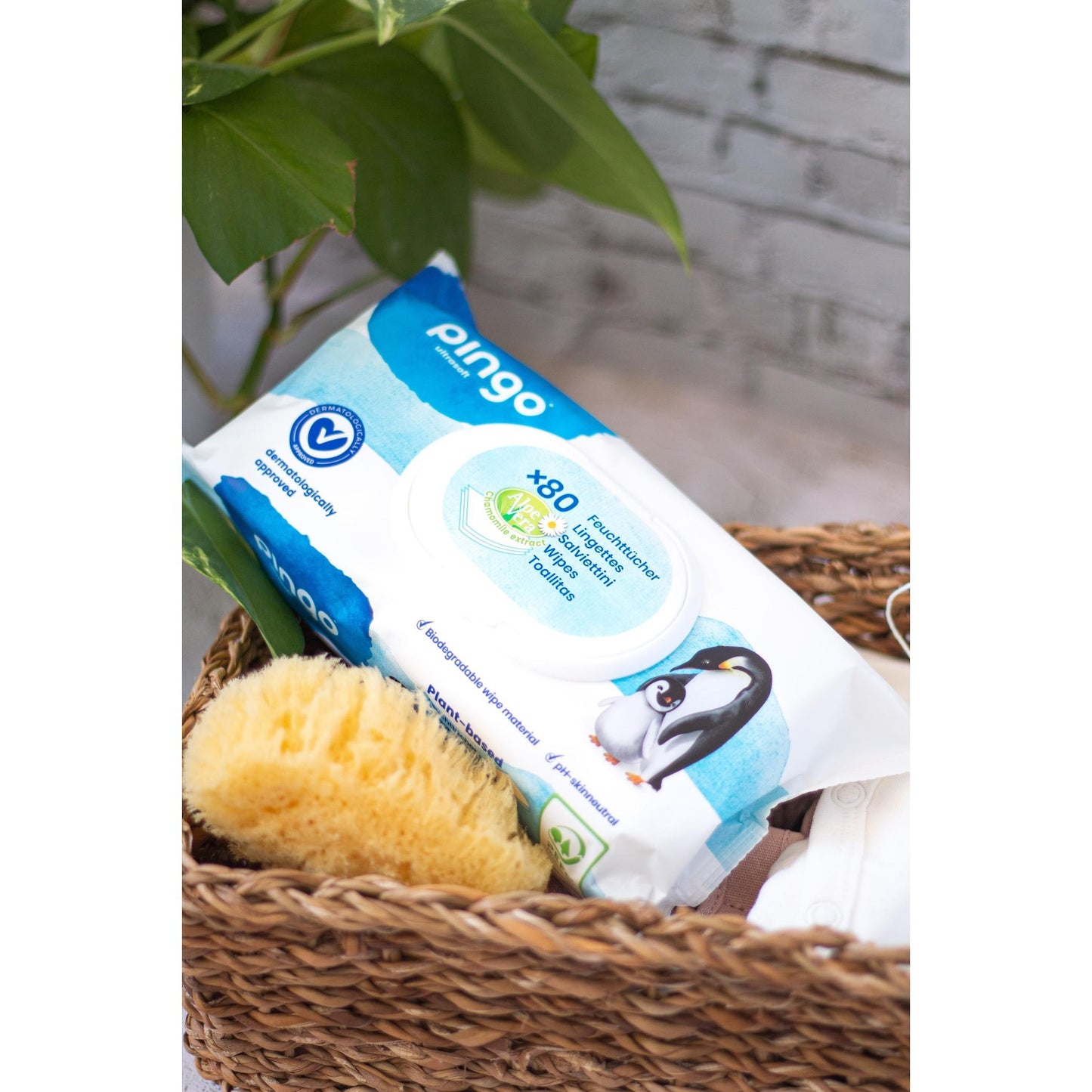 Toallitas húmedas de bebé 100% biodegradables 80 uds Pingo