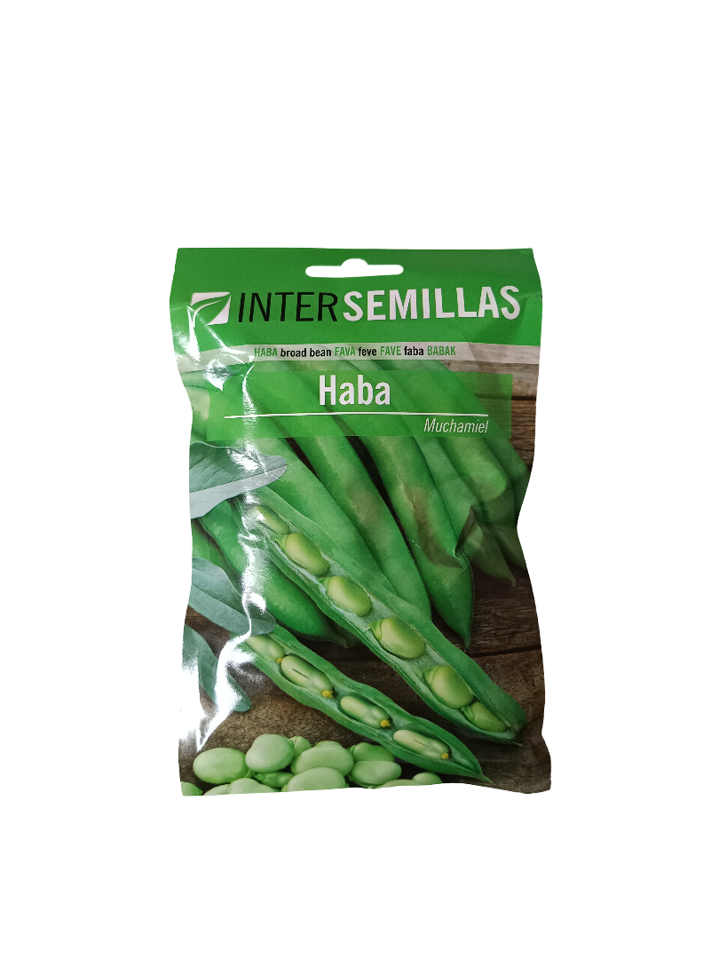 Semillas De Haba Variedad Muchamiel 100 Gr.