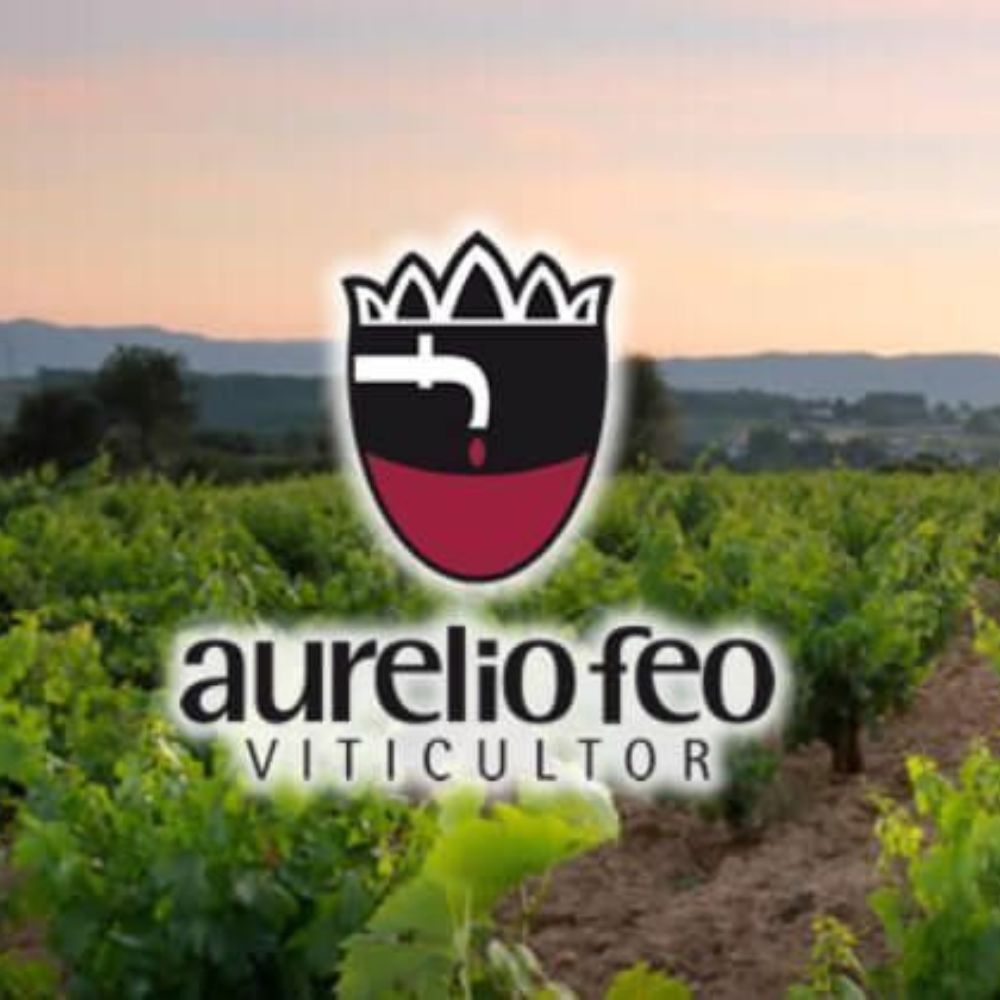 Vino Blanco - Collage - 2023- Aurelio Feo - Bierzo_2