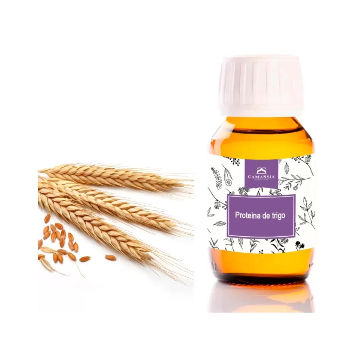 Proteina de trigo, 50 ml. Camassia