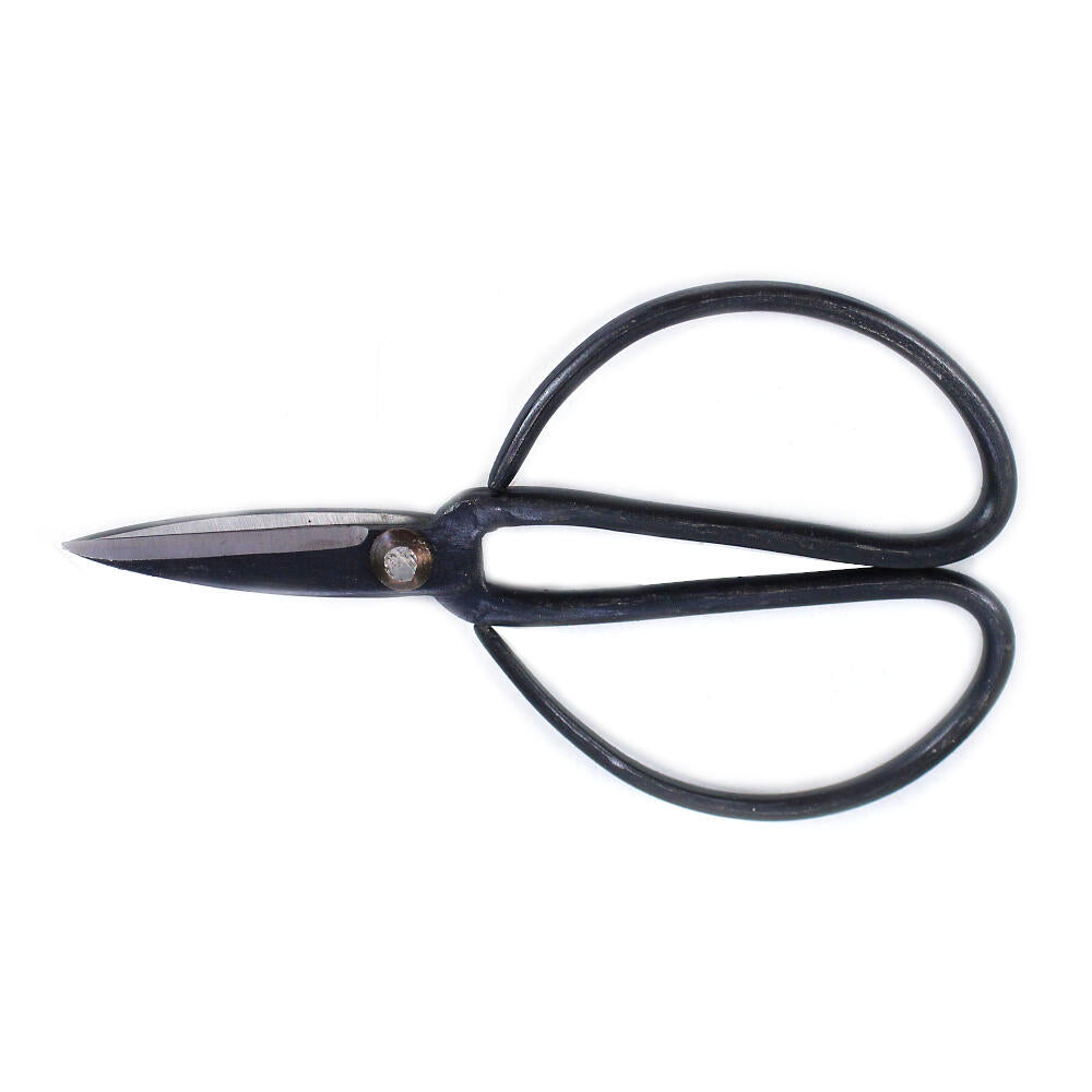 Pack Iniciación Bonsai Ficus Retusa 5 Años Incluye Tijeras Y Abono