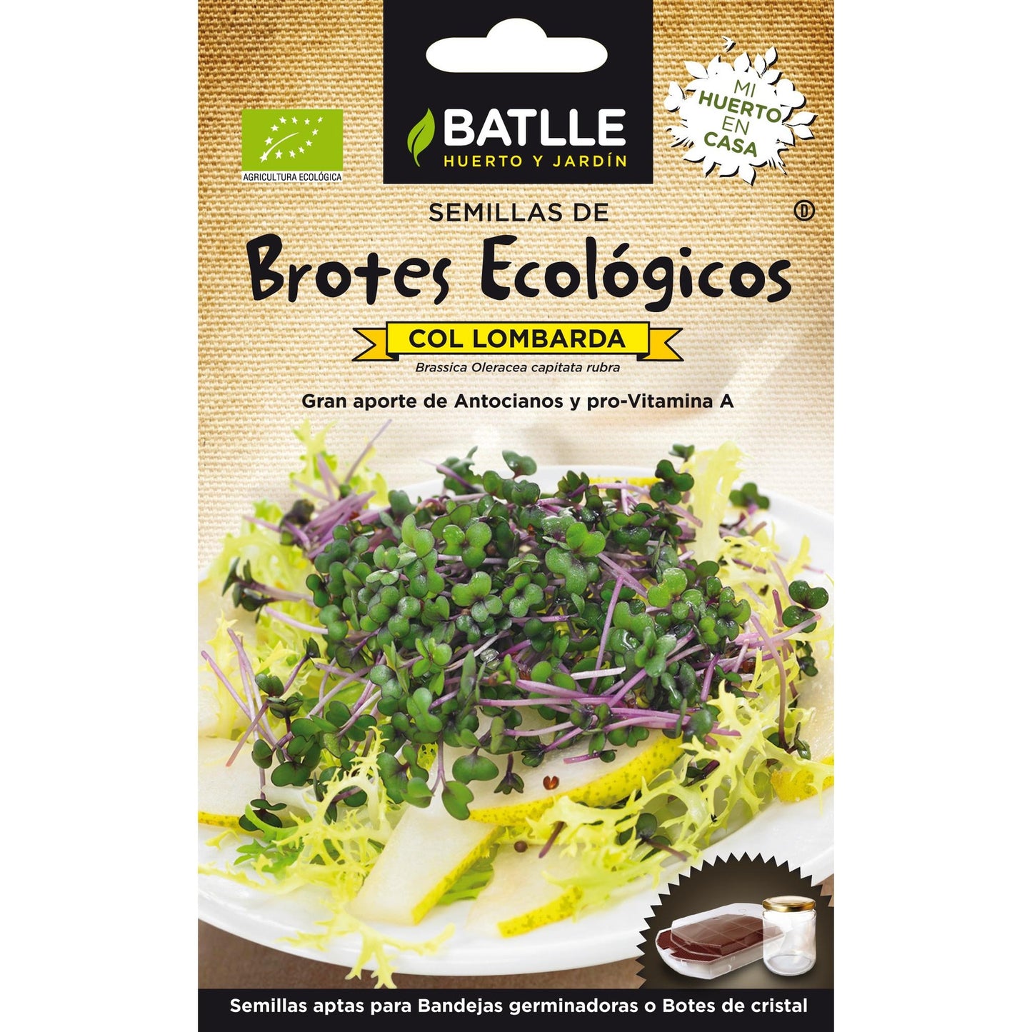 Semillas de Col Lombarda ecológicas para germinados Batlle