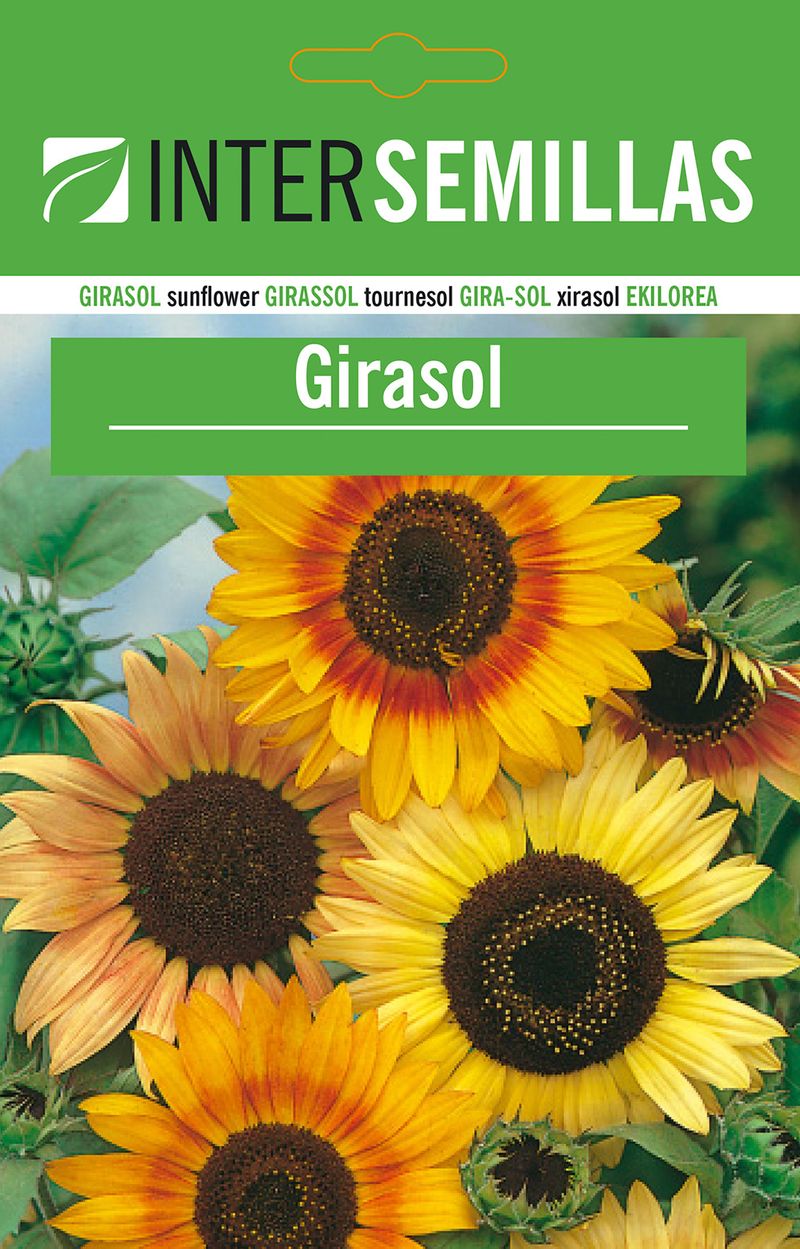 Sobre De Semillas De Girasol