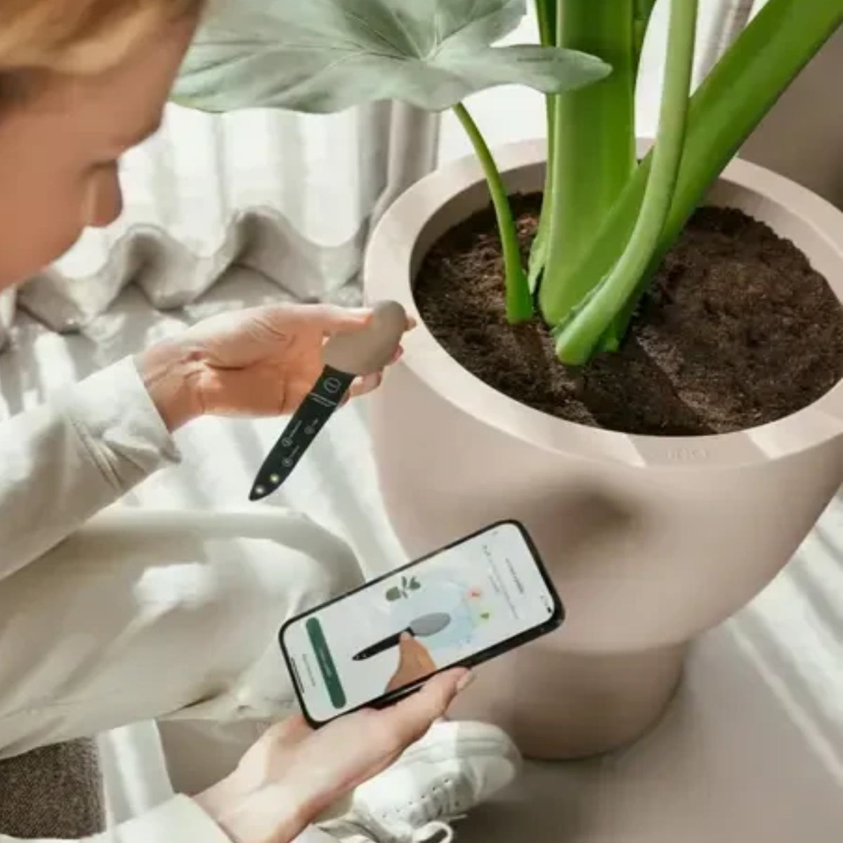 Asistente digital para el cuidado de las plantas Elho Smart Pebble