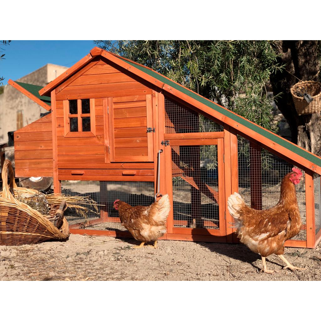 Gallinero madera Amsterdam