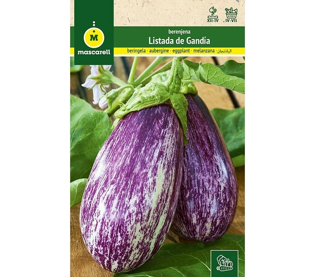 Semillas Berenjena (listada De Gandía)