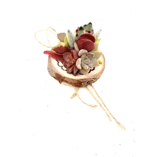 Composición de crasas Tronco