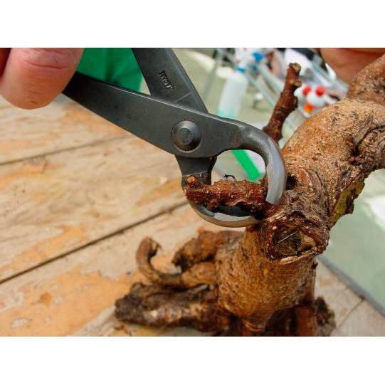 Vaciadora cóncava 170 mm