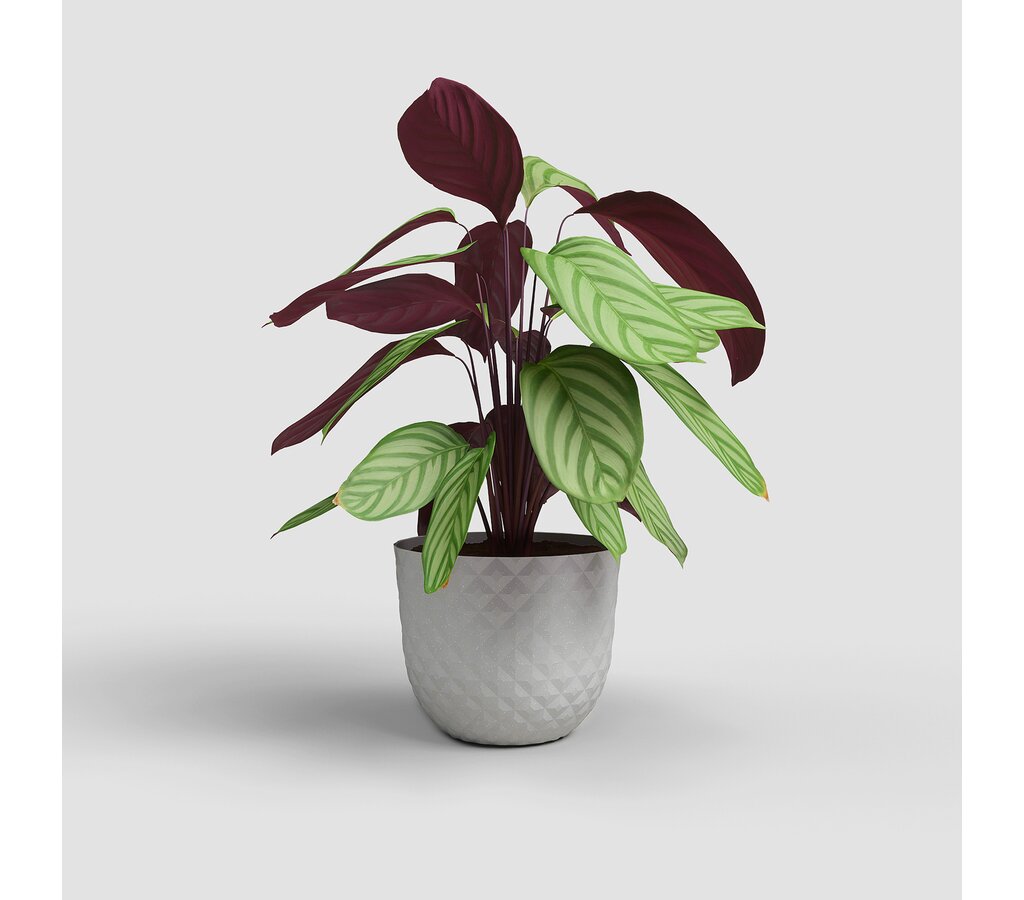 Artevasi Macetero Havana Tropical Gris De Plástico Reciclado 40cm