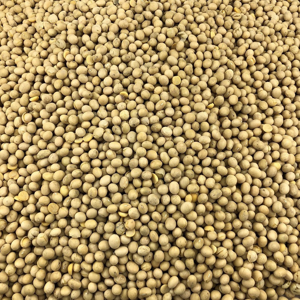 Soja Amarilla Ecológica Granel 10 Kg_2