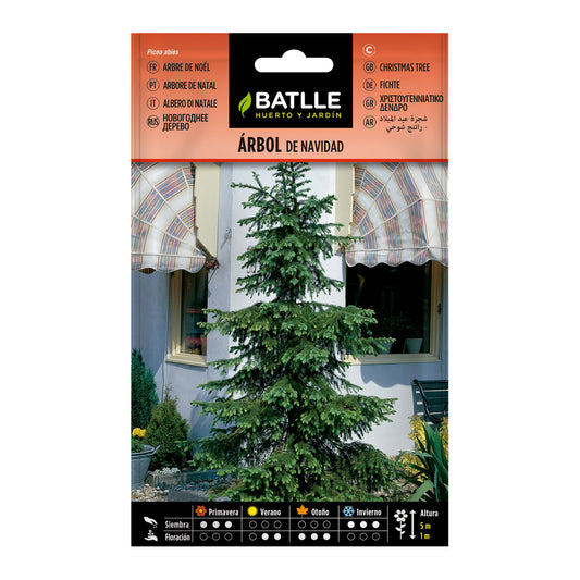 Semillas de  Árbol de Navidad Batlle