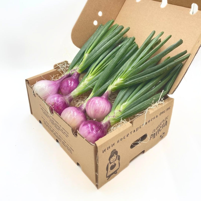 Cebollas Moradas De La Huerta De Pancha 1/2 Kg_1